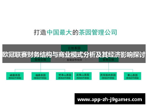 欧冠联赛财务结构与商业模式分析及其经济影响探讨 欧冠联赛财务结构与商业模式分析及其经济影响探讨